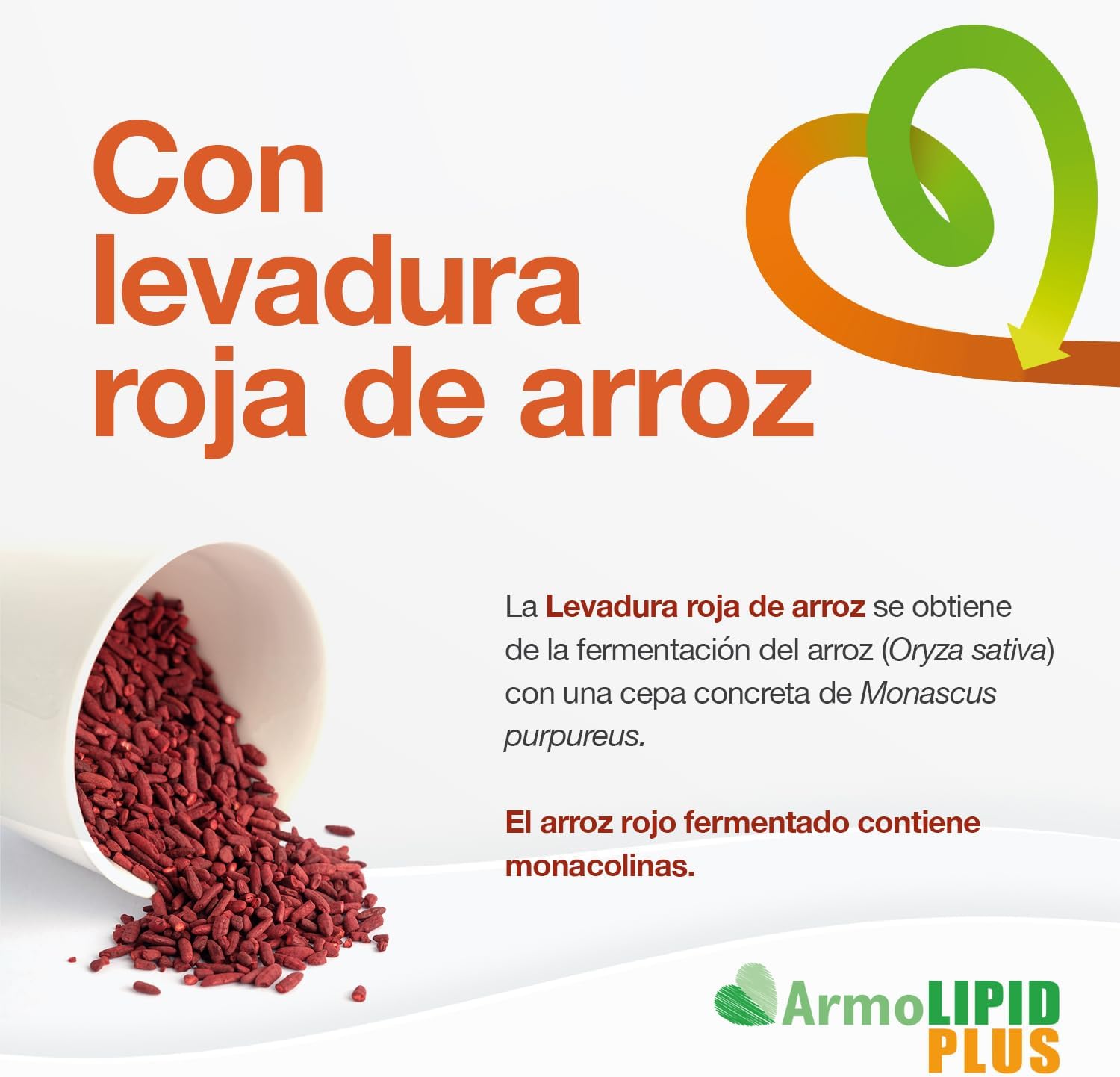 ArmoLIPID PLUS imagen 5